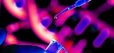 Under the Microscope