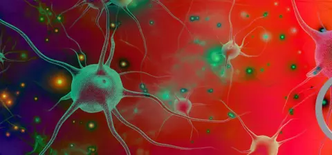 Quantum collapse holds the key to consciousness