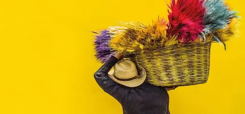 A person carrying a large basket filled with colorful dried plants, set against a vibrant yellow wall.