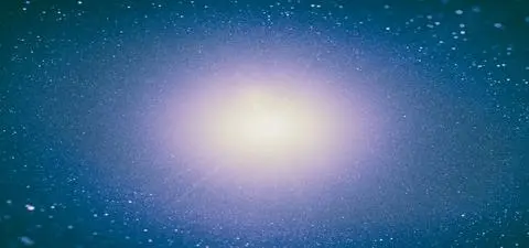 Schrödinger and the conscious universe