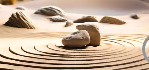 Consciousness came before life