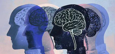 the brain forgets in order to improve your memory