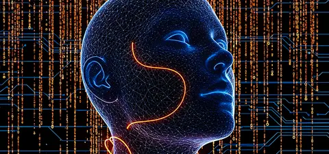 the brain is not a computer 2