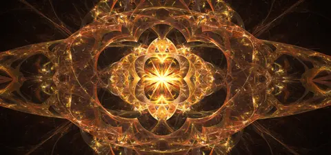 the delusion of a particle only universe