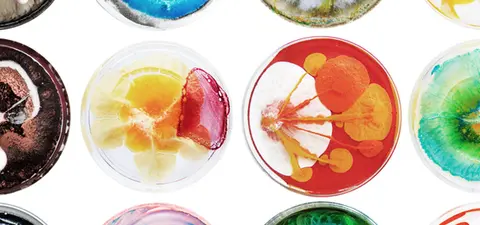 the divide between art and science