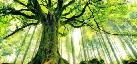 The New Utopianism