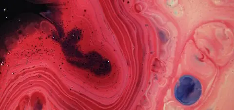 Abstract swirling patterns of red, pink, and blue pigments in a fluid medium, showcasing organic shapes and textures.