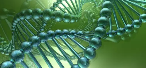 DIY DNA