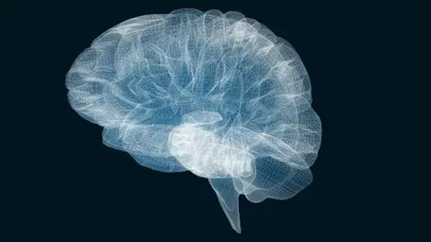 Consciousness begins with feeling, not thinking