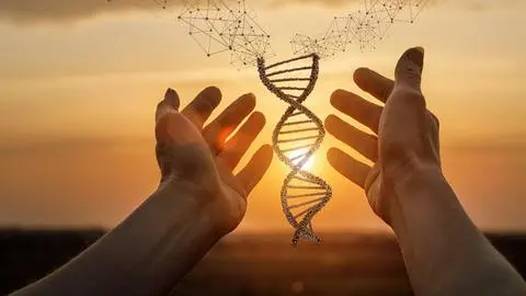 How DNA Makes Us Who We Are