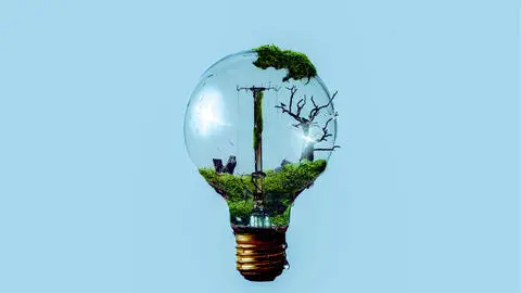 The Non-Existence of the Real World
