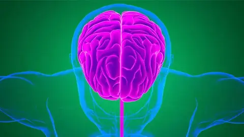 The Mind's Eye – Science of Consciousness & the Soul