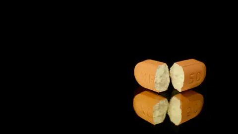 The Science of Psychedelics