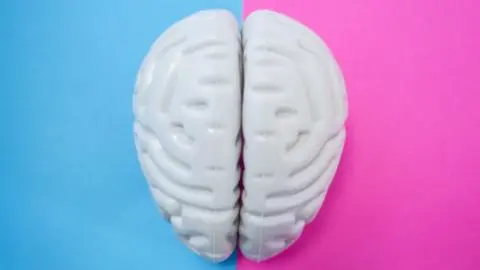 The Neuroscience of Sex