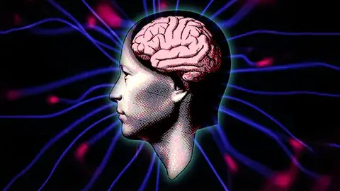 靴 W Nike Shox R4 \