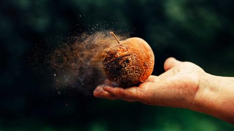 Materialism as a political weapon