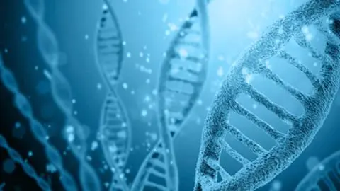 Biology Beyond Genes