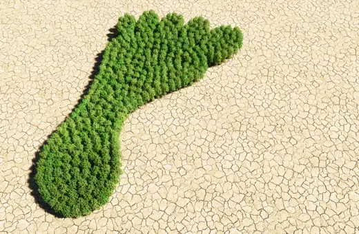 A large green footprint made of grass sitting on dry, cracked earth, symbolizing environmental awareness and sustainability.