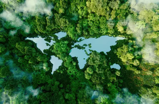 Aerial view of a lush green forest interspersed with reflective water bodies shaped like a world map, surrounded by misty clouds.