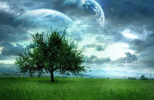 Irony, Truth and Reality