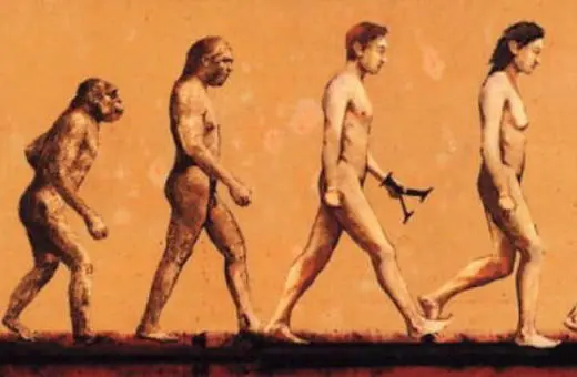 Illustration depicting the evolutionary progression from a primate to modern humans, showing several stages of human evolution.