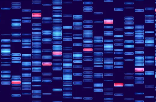 AdobeStock 1866075475 copy