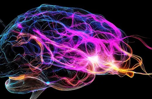 BRIGHTENED the brain is not responsible for consciousness copy