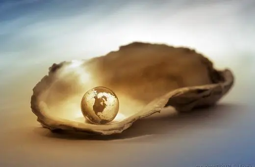 A glass globe representing Earth sits inside an open oyster shell, illuminated softly to highlight its features against a muted background.