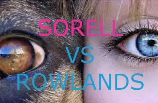 Close-up of a dog's eye alongside a human eye, with the text 