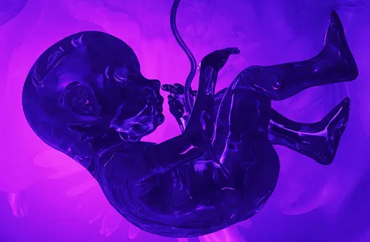 artificial birth will change what it means to be human