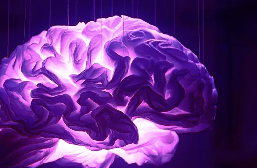 consciousness beyond the brain