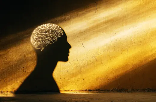 imagination and the real2