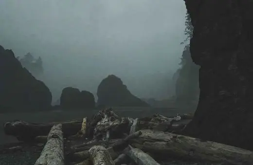 Foggy shoreline with dramatic rock formations and driftwood, creating a serene yet eerie atmosphere in a coastal landscape.