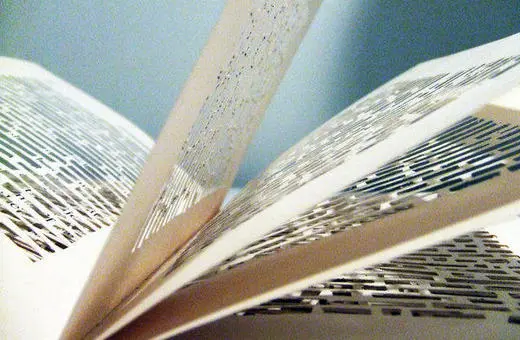 An open book with intricately cut pages, showcasing detailed patterns and textures created by the cutouts in the paper.
