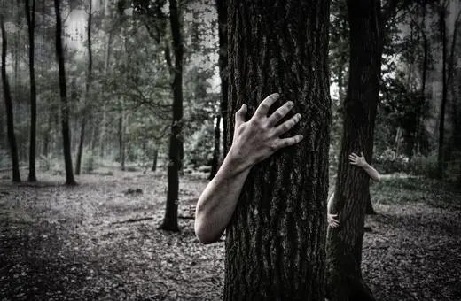 A forest scene with eerie atmosphere, featuring hands emerging from tree trunks, suggesting a haunting or supernatural presence.