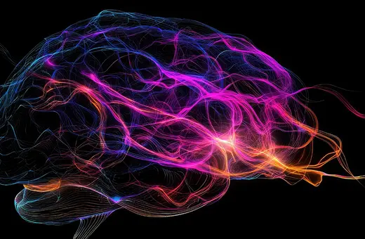 the brain is not responsible for consciousness