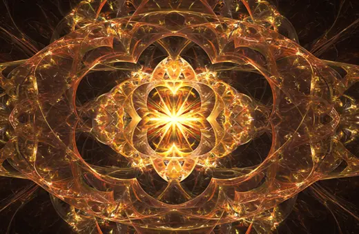 the delusion of a particle only universe