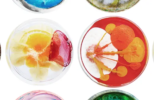 the divide between art and science