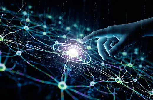 the structure of consciousness