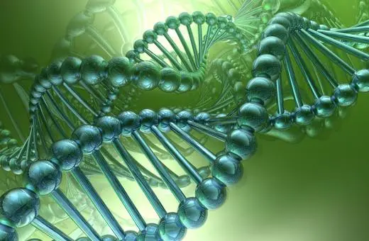 A close-up view of a green, stylized DNA double helix structure, showcasing its intricate molecular design and spiral formation.