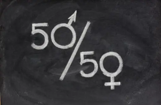 A chalkboard displays a mathematical representation of gender equality, featuring 